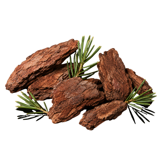 Pine bark and pine needles